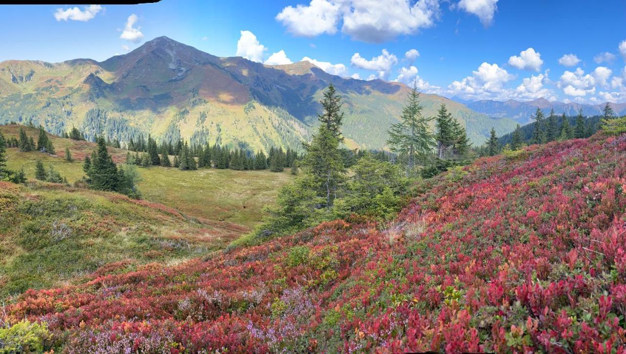 Alpengasthof Grobbauer Rottenmann Exteriér fotografie