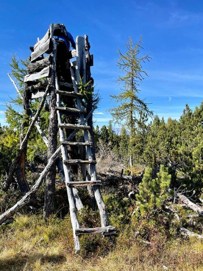 Alpengasthof Grobbauer Rottenmann Exteriér fotografie