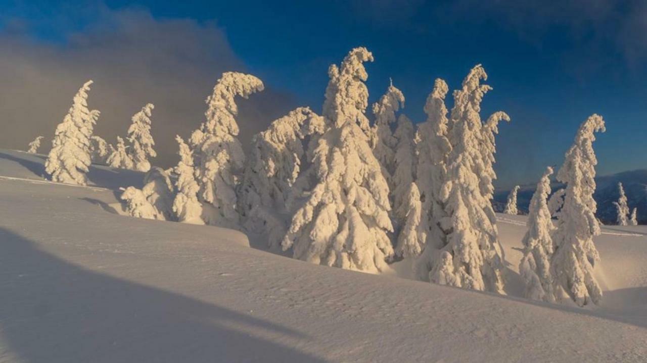Alpengasthof Grobbauer Rottenmann Exteriér fotografie